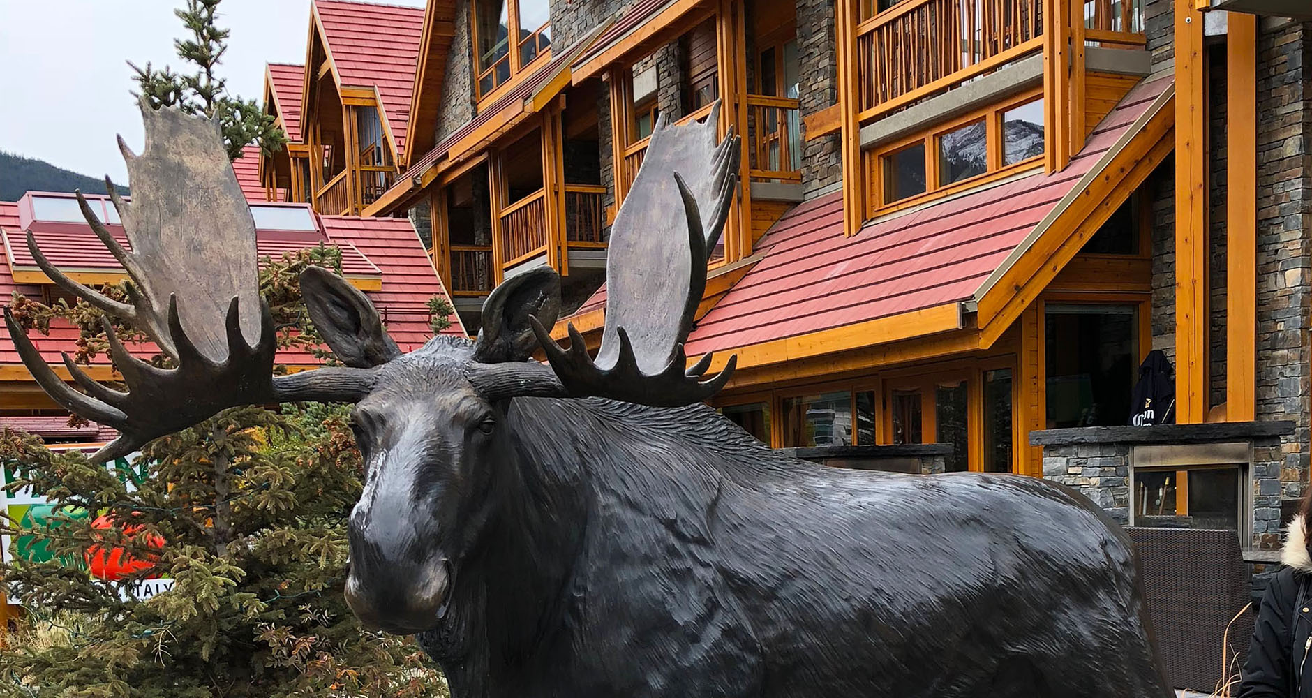 Moose Hotel and Suites, Banff