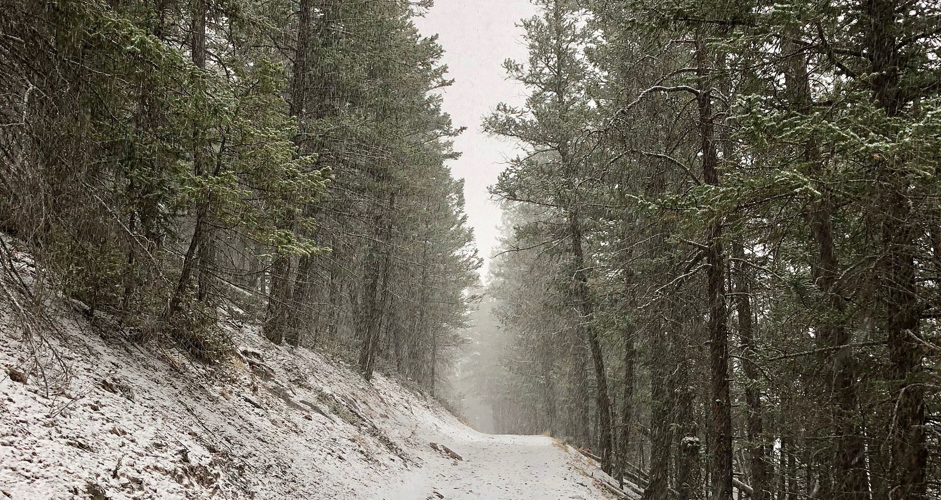 Hiking in Tunnel Mountain in the snow, Banff - Alberta, Canada