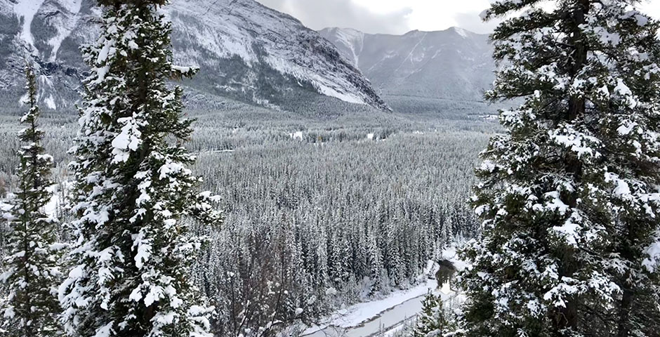 Winter wonderland, snow topped mountains and trees in Banff - Alberta, Canada