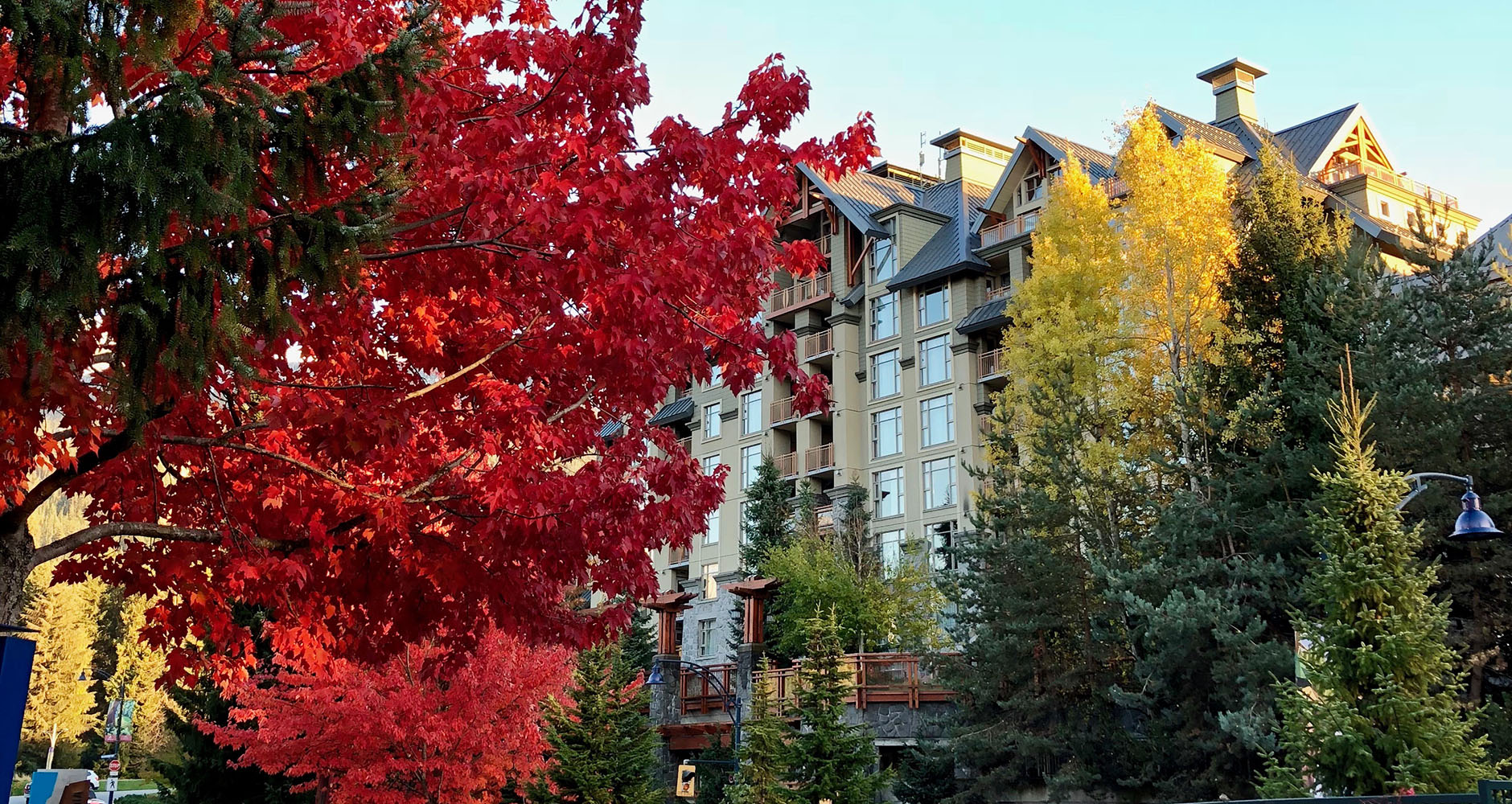 Autumnal coloured trees in Whistler Village, Canada